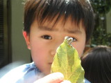 img0033.jpg