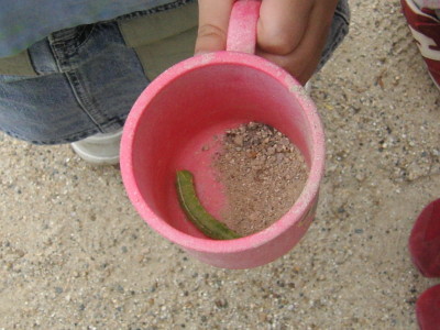 img0006.jpg