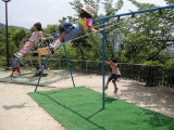 img0003.jpg