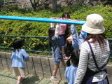 img0009.jpg