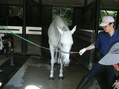 img0003.jpg