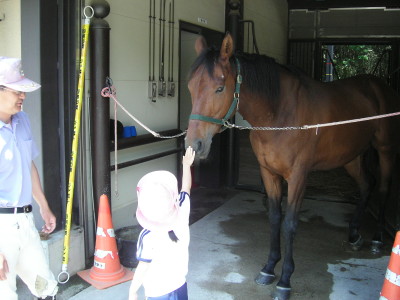 img0005.jpg