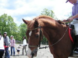 img0002.jpg