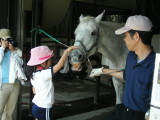 img0004.jpg