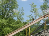 img0009.jpg
