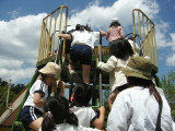 img0010.jpg