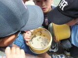 img0006.jpg
