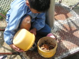 img0011.jpg