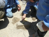 img0002.jpg