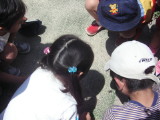 img0012.jpg