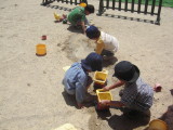 img0017.jpg