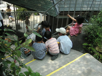 img0031.jpg