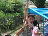img0010.jpg