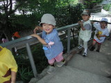 img0012.jpg