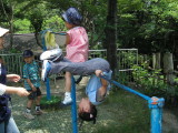 img0013.jpg