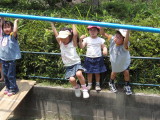 img0015.jpg