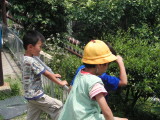 img0025.jpg