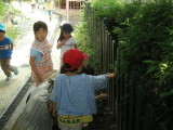 img0026.jpg