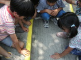img0030.jpg