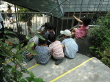 img0031.jpg