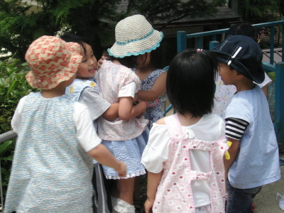 img0005.jpg