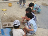 img0010.jpg