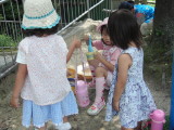 img0020.jpg