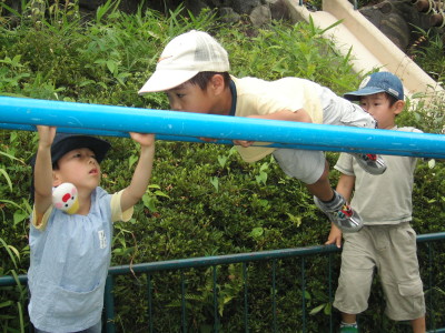 img0004.jpg
