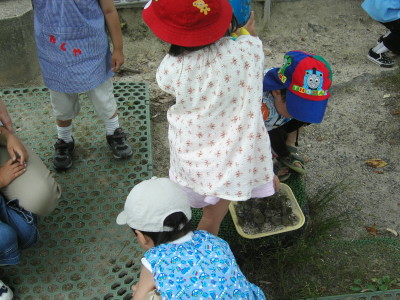 img0013.jpg