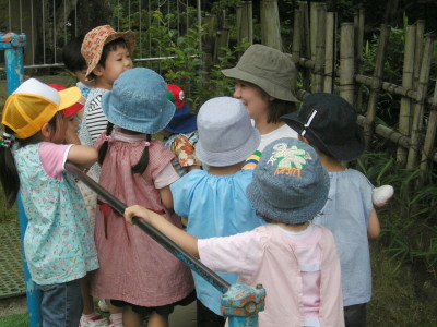 img0015.jpg