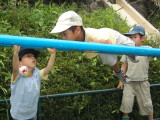 img0004.jpg