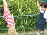 img0005.jpg