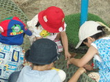 img0014.jpg