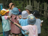 img0015.jpg