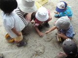 img0016.jpg