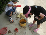 img0020.jpg