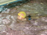 img0009.jpg
