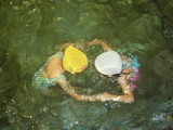 img0013.jpg