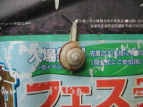 img0001.jpg