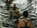 img0006.jpg