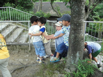 img0022.jpg