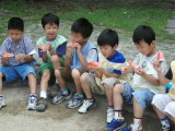 img0014.jpg