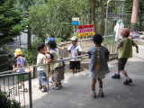 img0016.jpg
