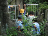 img0021.jpg