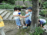 img0022.jpg