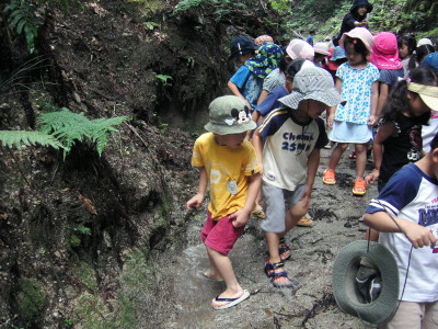 img0013.jpg
