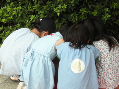 img0027.jpg