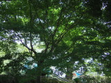img0011.jpg