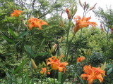 img0015.jpg
