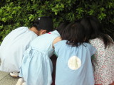 img0027.jpg